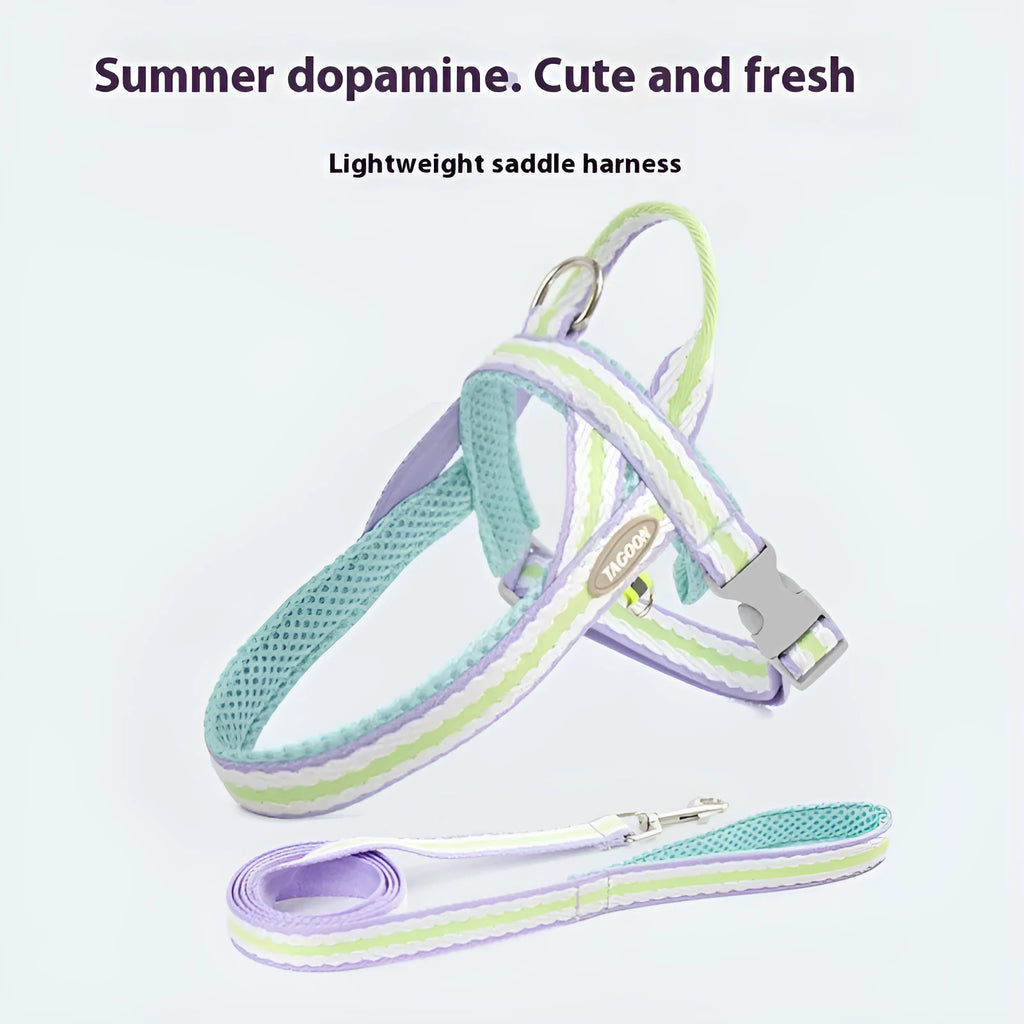 Y-shaped polyester dog harness with 1.4 metre walking rope in multiple colour options