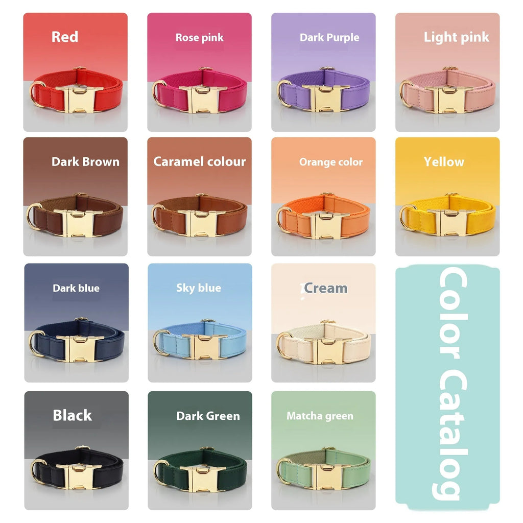 Leather dog collar with velvet texture section in colour block design, shown on a buckle.