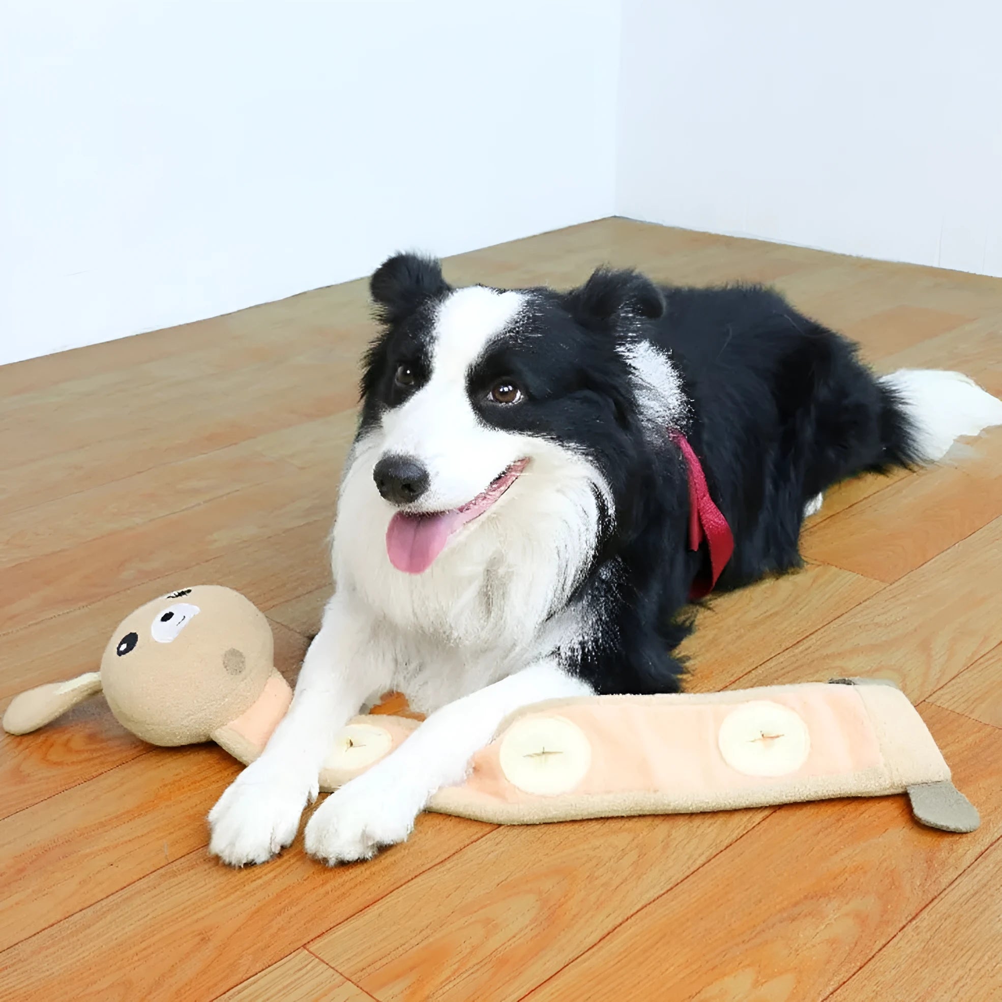 Fleece rabbit plush dog toy with sound and treat dispensing functions