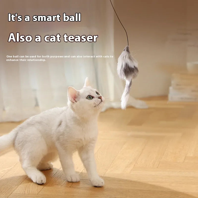 Automatic cat teasing ball toy with plush mouse attachment in blue orange and dark grey