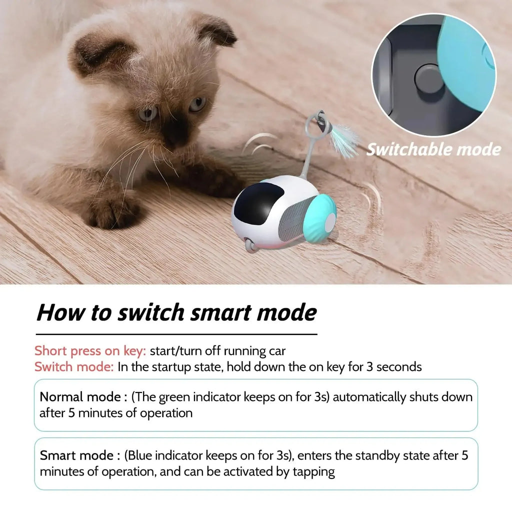Blue interactive smart cat toy with remote control and feather teaser for automatic and controlled pet play