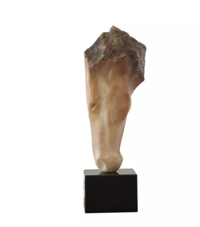 French retro abstract horse head art sculpture ornament with carving finish, dimensions 14x12xH50cm