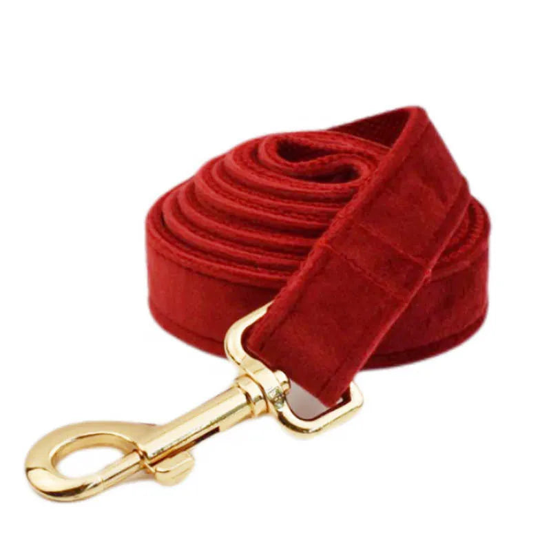 Dog wearing coordinated cloth collar set with bow, vest, and matching leash