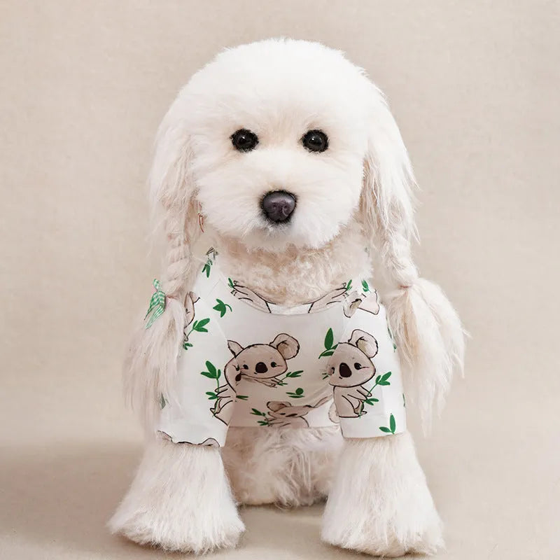 Small dog wearing full printed polyester T-shirt in spring setting
