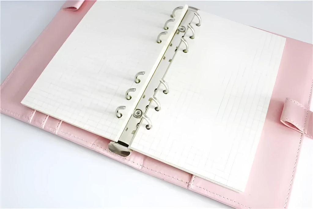 A5 6-hole loose-leaf refill with 40 sheets of Daolin paper in lined, blank, dot grid or square page styles.