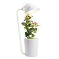 White hydroponic container for soilless desktop plant cultivation with international size regulations