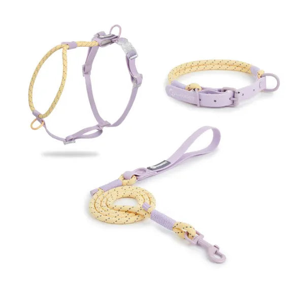 Solid-colour PVC dog leash measuring 120cm in dark red purple yellow or taoyao green colours