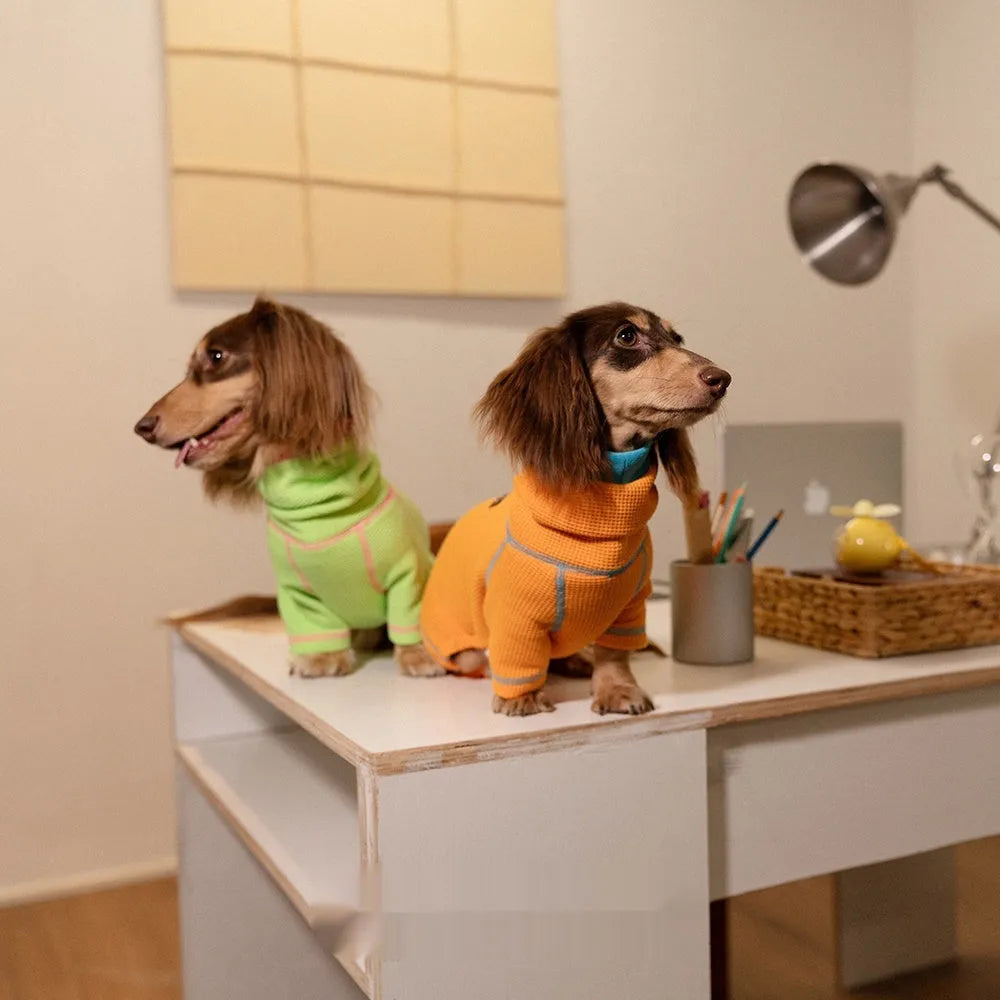 Waffle dachshund pullover, four-legged warm pet clothing in green or orange, sizes XS to XXL