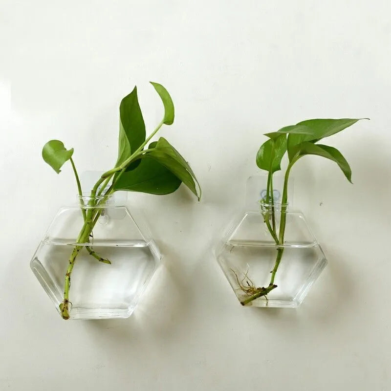Wall-mounted geometric fish tank in high borosilicate glass, polished finish, 13x13cm and 17x17cm sizes