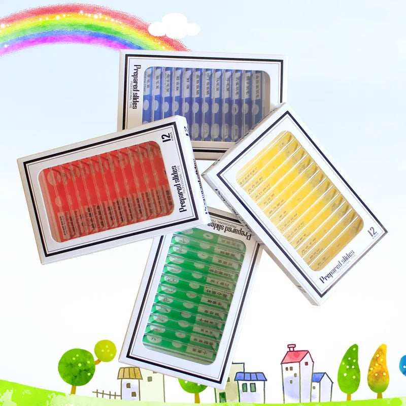 48-piece educational microscope slide set with colour-coded boxes containing plant and animal specimens.