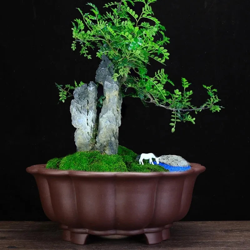 Large purple sand ceramic diamond flower pot for indoor bonsai, in dark violet or purplish red