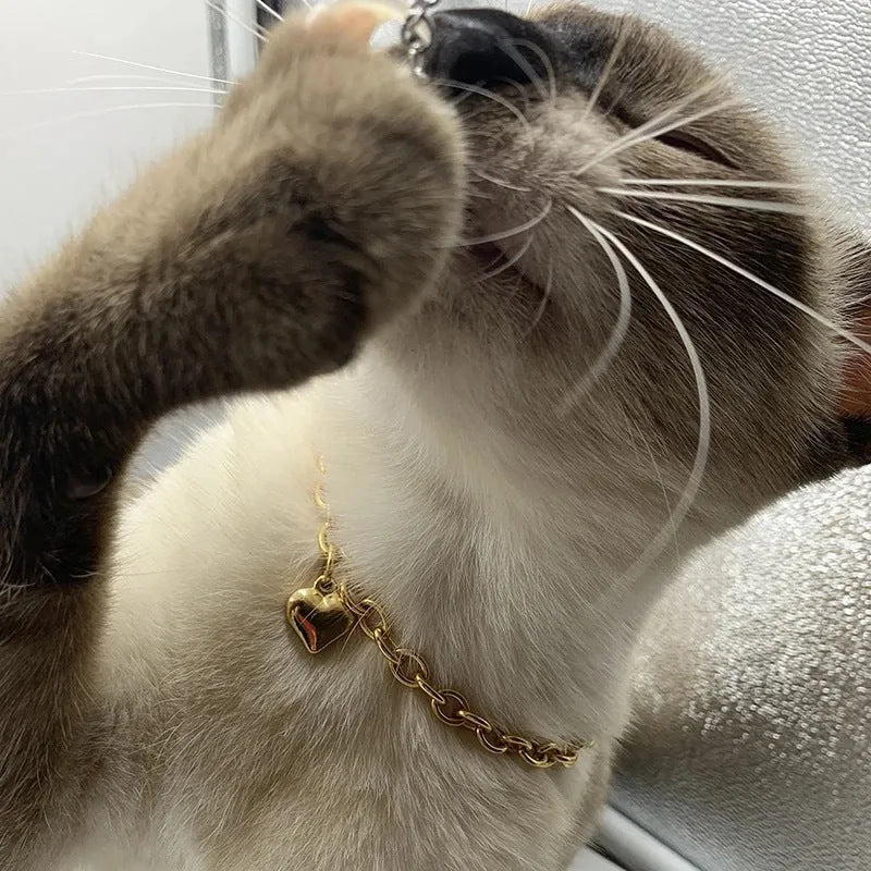 Stainless steel pet necklace with love heart pendant on curb chain in gold finish