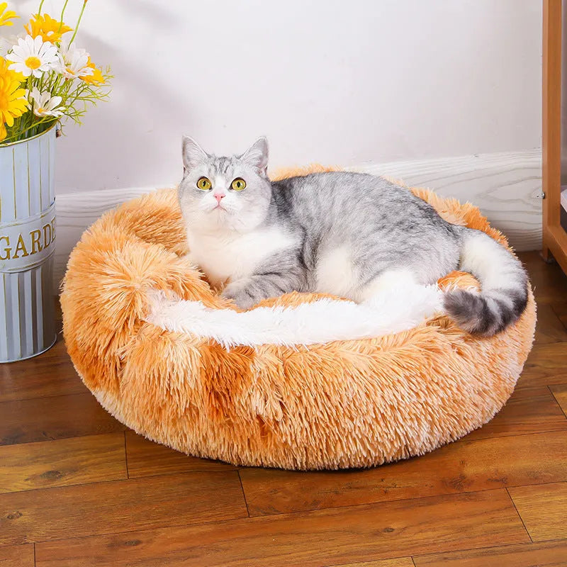 Waterproof indoor dog kennel with warm room in a semi-surrounded design, shown in a gradient colour.