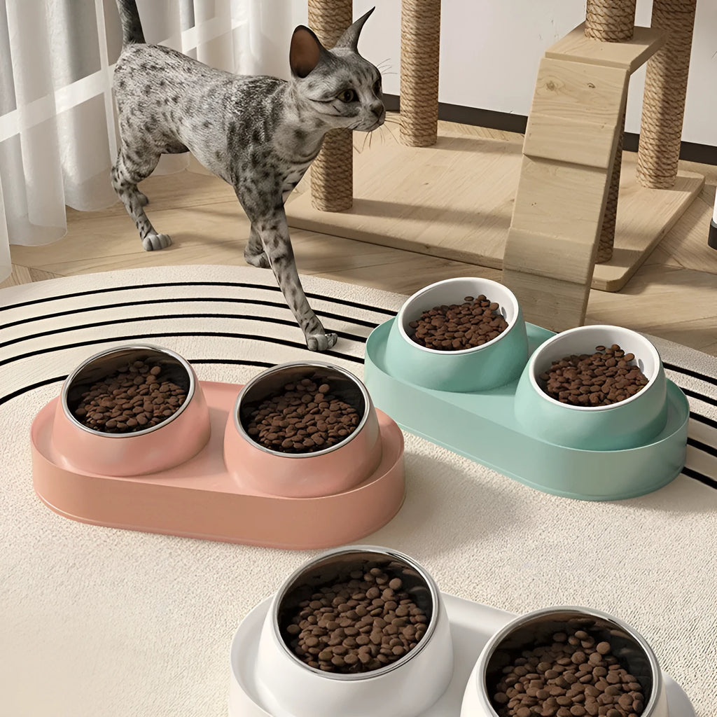 White elevated pet feeder with tilted ceramic bowls on a separate rack, for cats and small dogs.