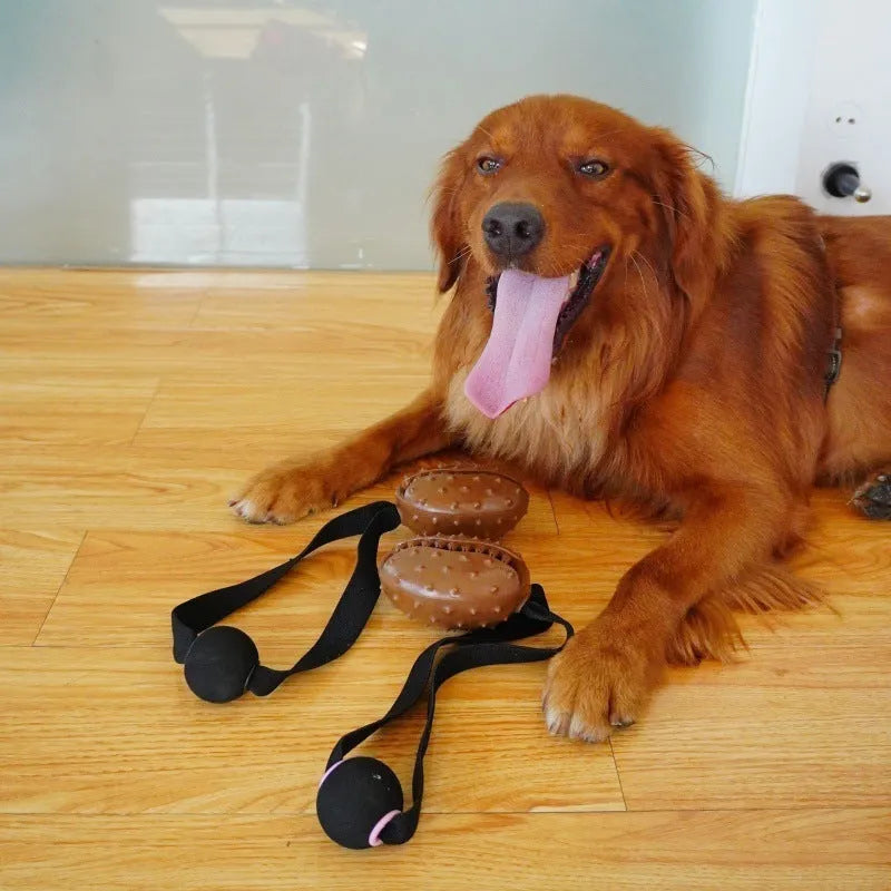 Brown coffee bean-shaped dog chew toy with textured surface and integrated cotton rope knot