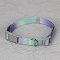 Nylon dog leash set with gradient colours in pink and blue, showing collar, chest strap, and lead for secure walks