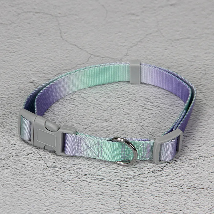 Nylon dog leash set with gradient colours in pink and blue, showing collar, chest strap, and lead for secure walks