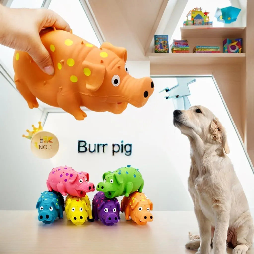 Latex pig-shaped dog chew toy in blue, green, orange, pink, purple, or yellow, with vocal system and teeth-grinding texture