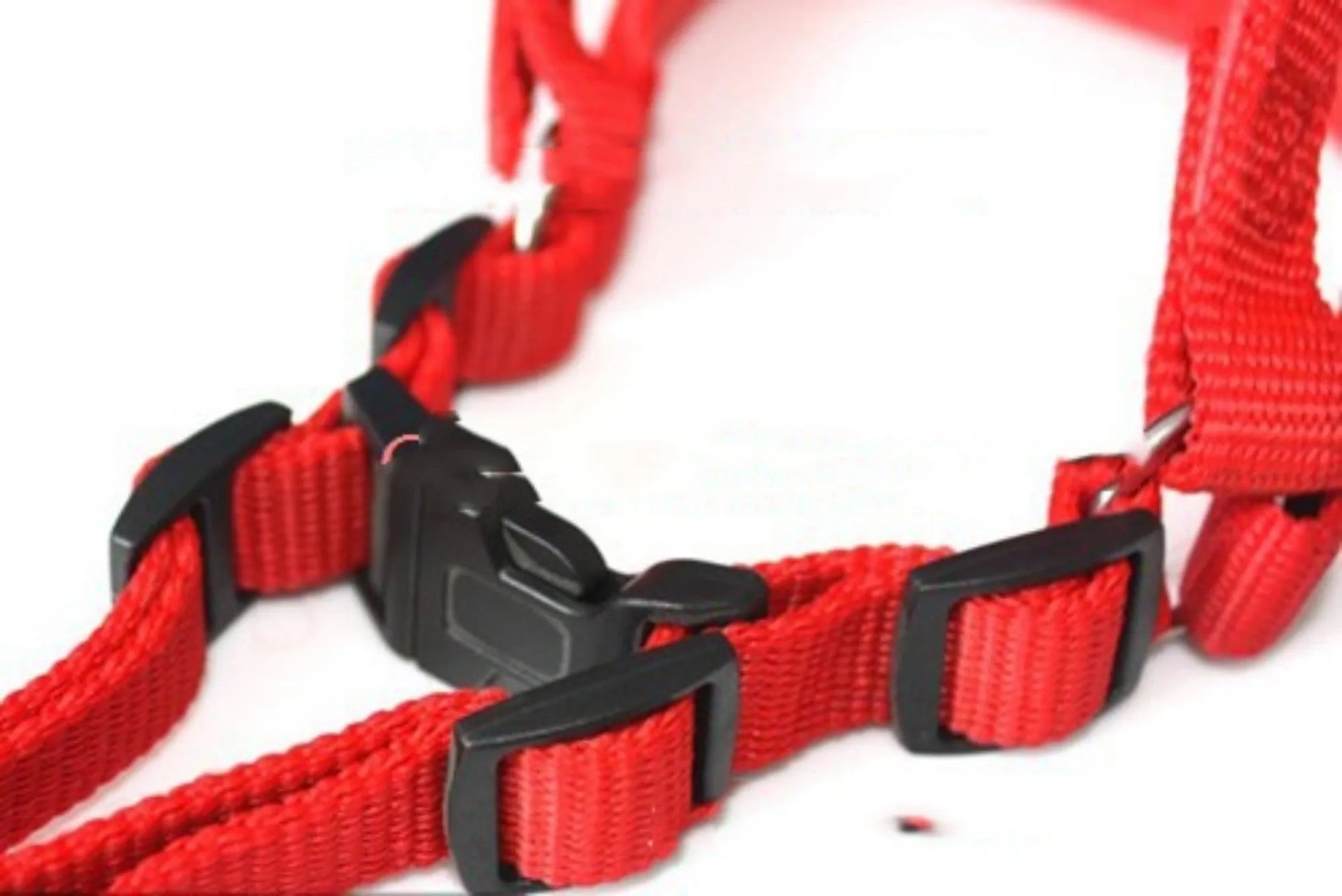 Soft lining polypropylene foam pet harness with adjustable nylon chest strap in black blue red colours