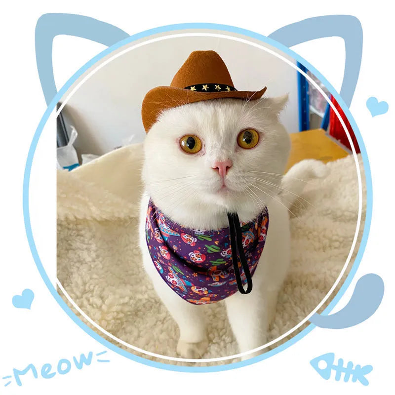 British-style cat cowboy hat in non-woven fabric with trim options like velvet belt and ribbon, sizes S and M.