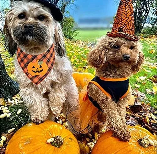Orange Halloween dog bandana with pumpkin and skeleton felt appliques on plaid fabric