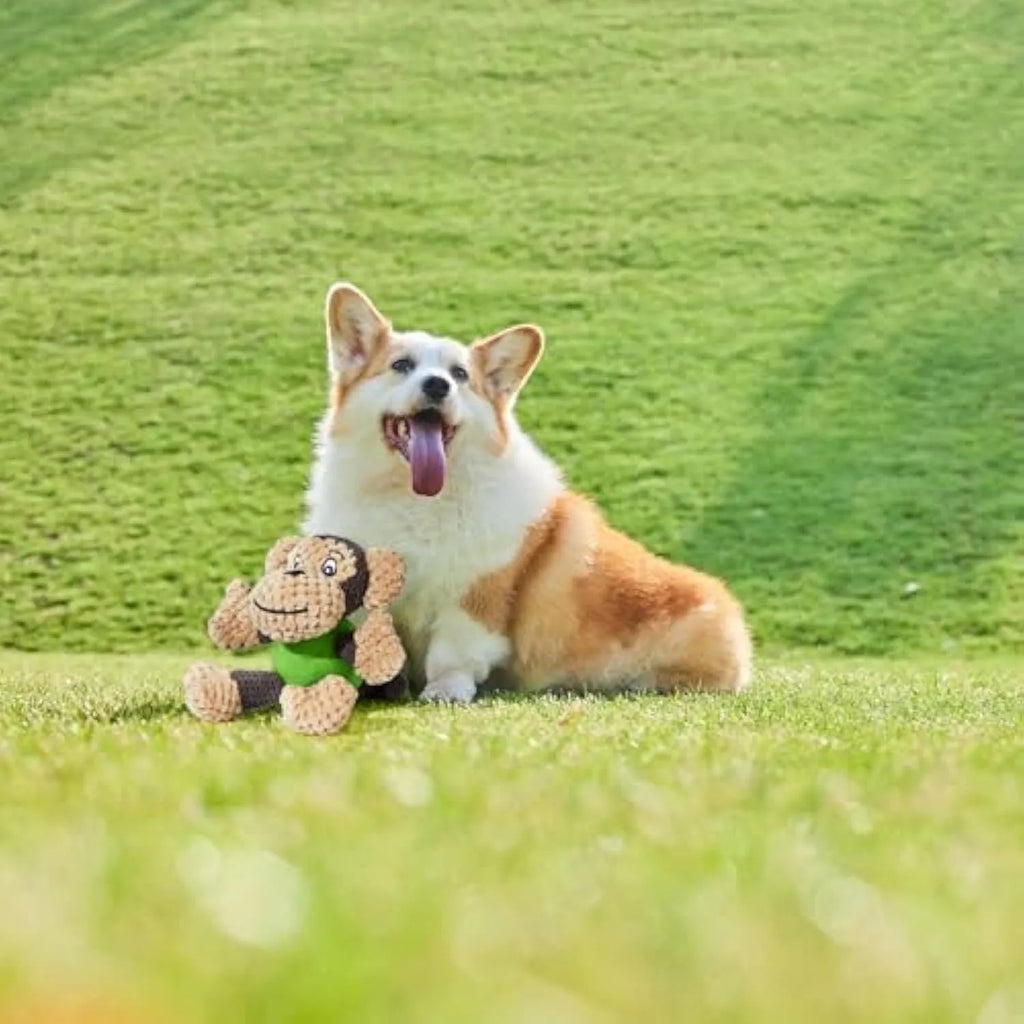 Red and tan plush monkey dog toy with squeaker, shown with a small dog.