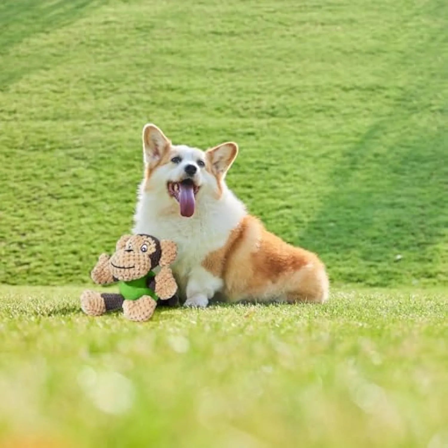 Red and tan plush monkey dog toy with squeaker, shown with a small dog.