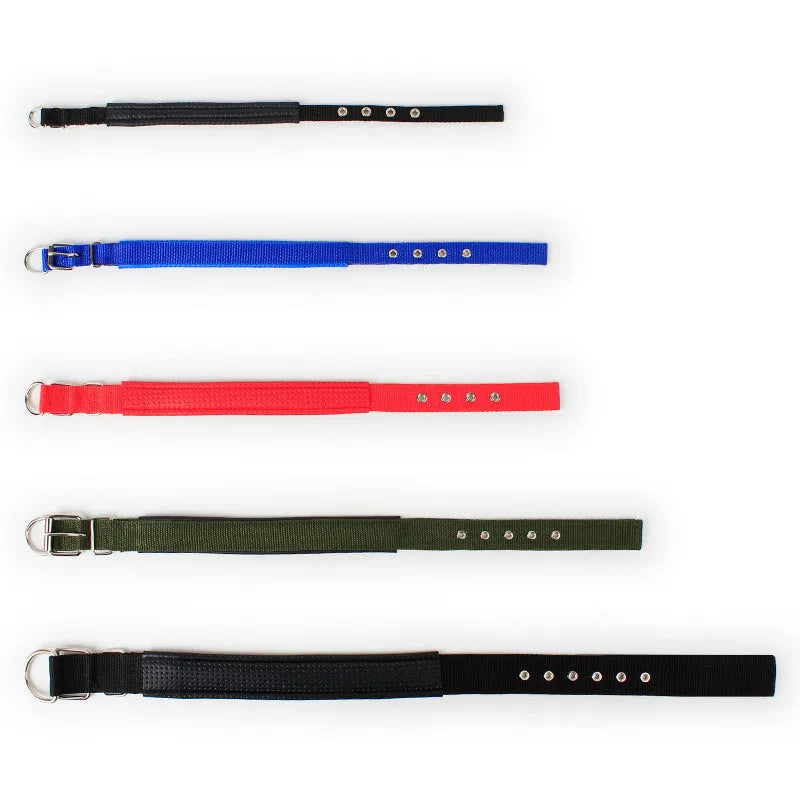 Soft leather-lined pet collar with polypropylene foam padding and nylon webbing, in multiple sizes and colours