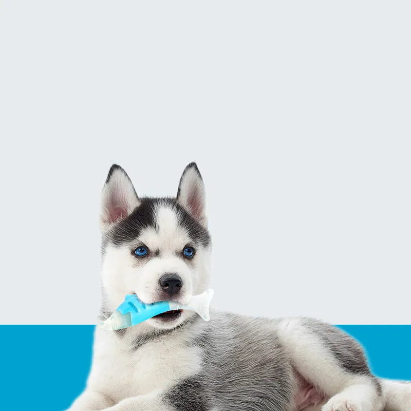 PU nylon dog chew toys in seahorse and tuna fish designs for puppy teething