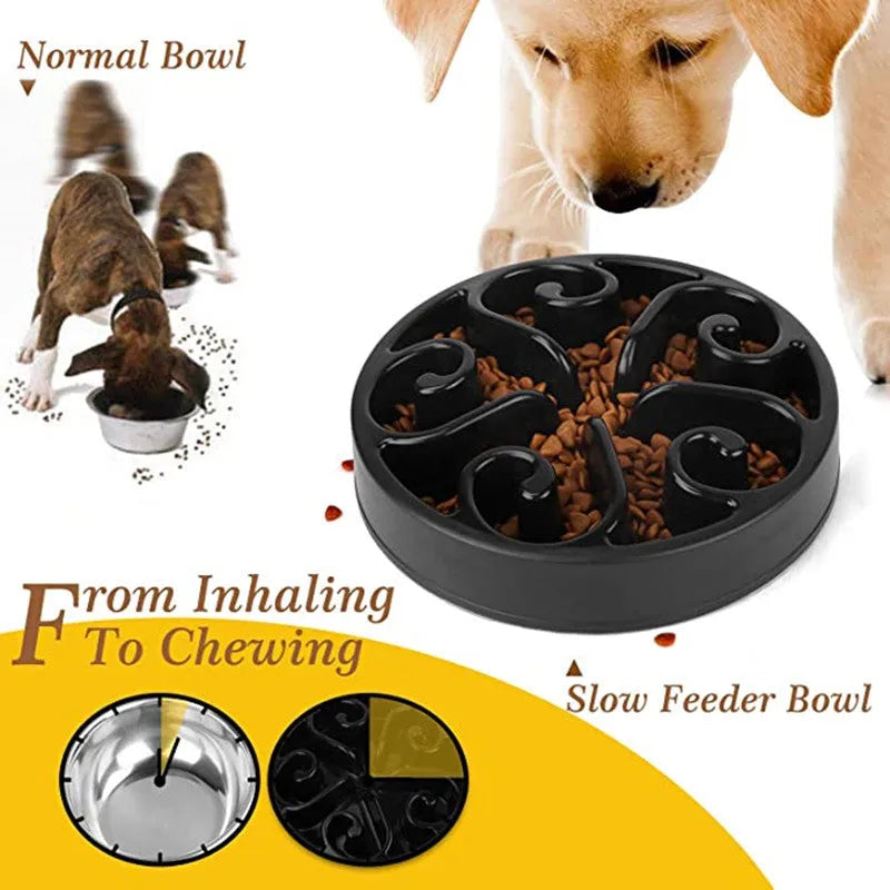 Dog slow feeder bowl with maze pattern design in multiple colour options