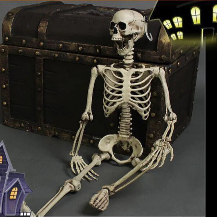 170cm white plastic skeleton model with articulated joints showing detailed anatomical bone structure