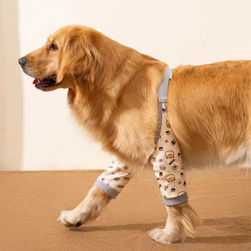 Blue dog knee protector with adjustable buckle and matching scarf on medium-sized dog