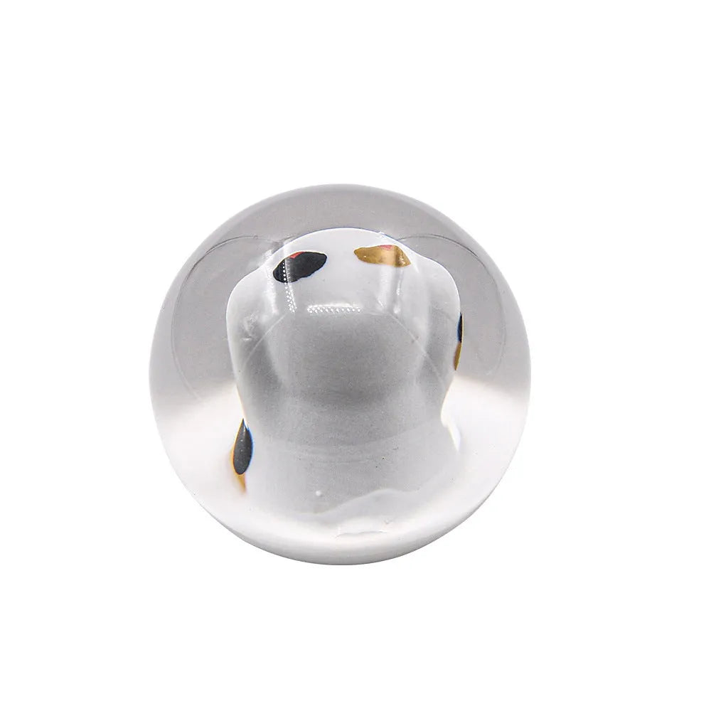 JDM lucky cat acrylic gear head with three adapters in sizes 8 x 1.25, 10 x 1.5, and 10 x 1.25 for general vehicle models
