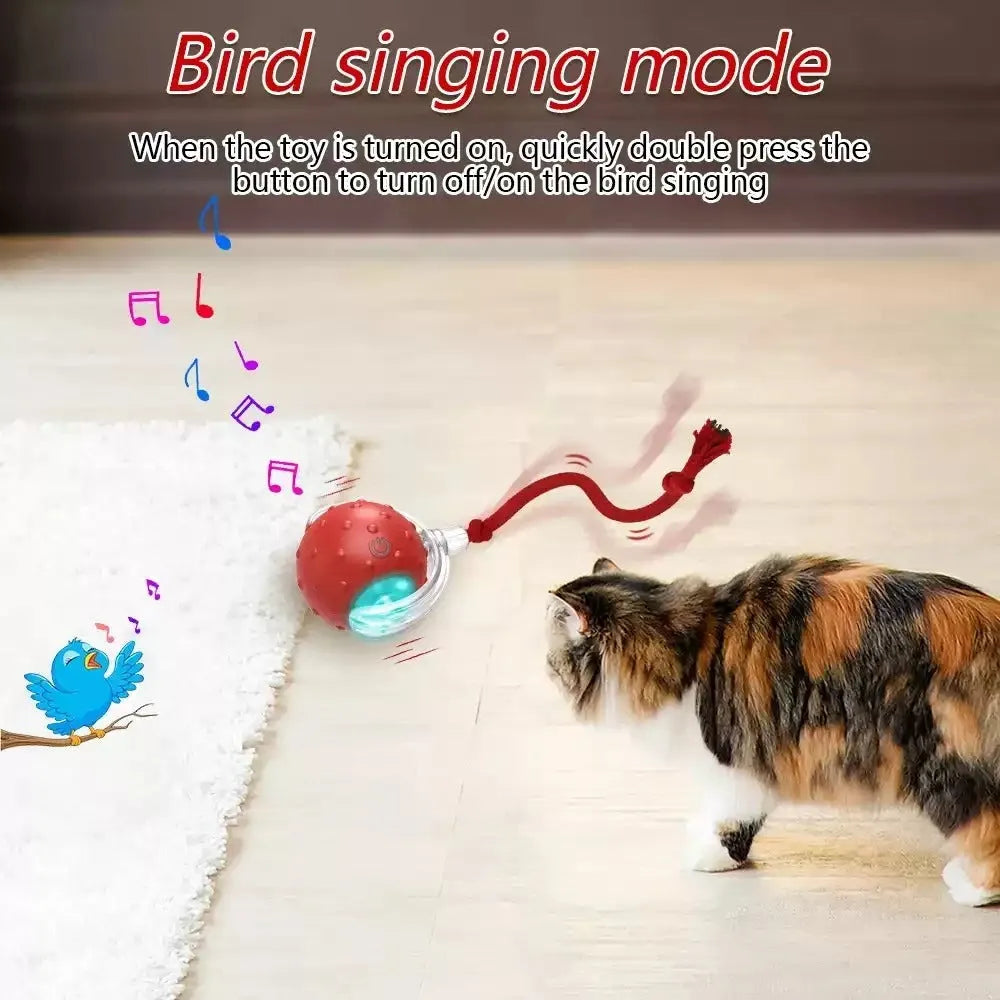 A single bright red plastic interactive cat toy ball designed for rolling and chase play.
