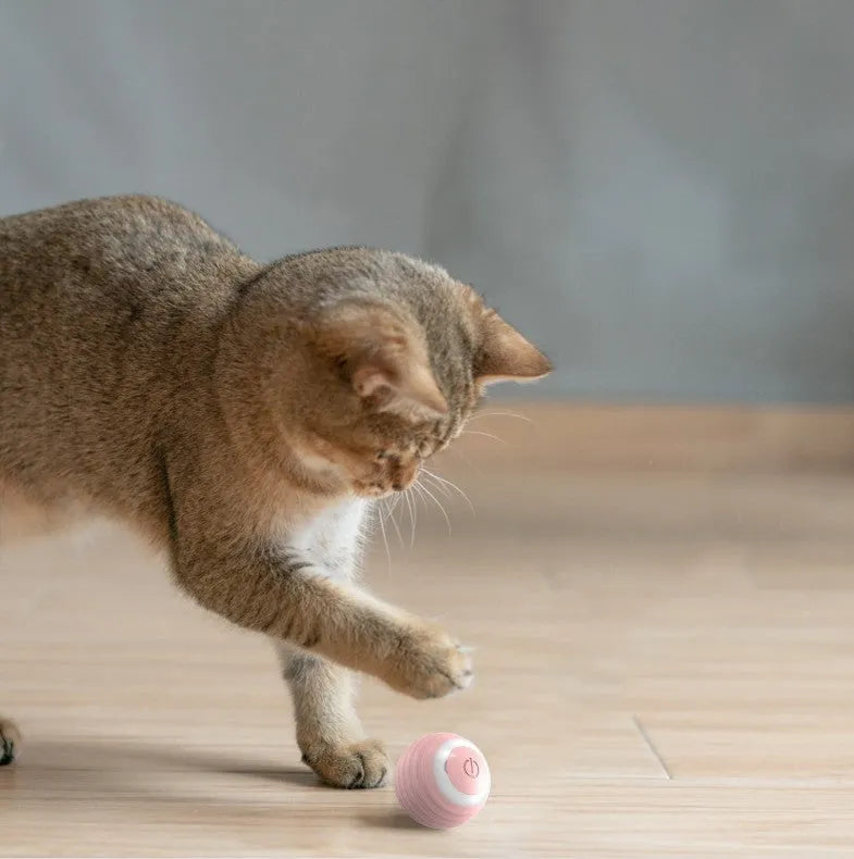 Blue automatic moving cat toy ball with rechargeable battery bouncing on floor