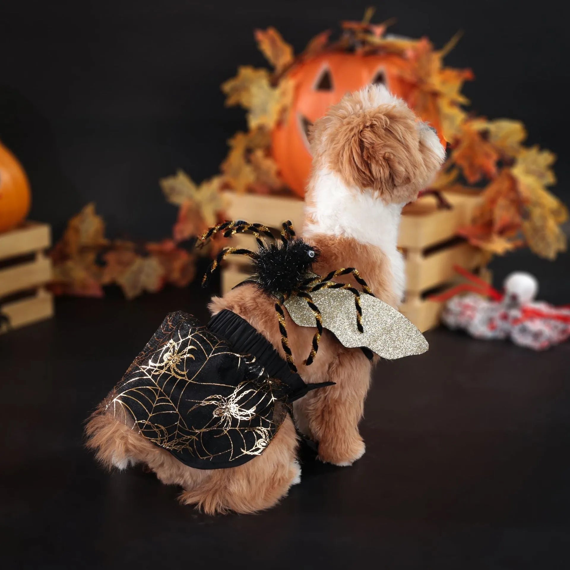 Polyester Halloween dog suit in a full-body design, available in sizes S, M, L, and XL for various dog breeds.