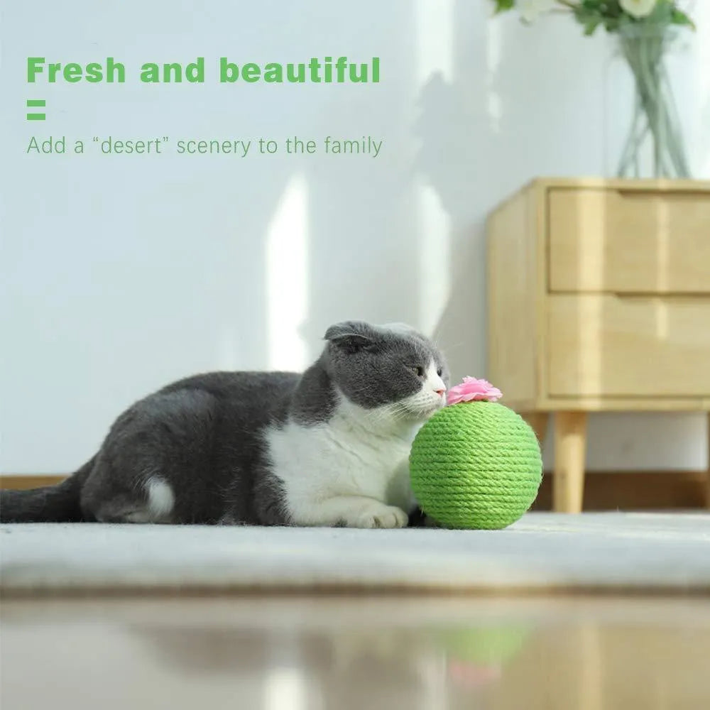 Green tumbler cactus cat scratcher with natural sisal surfaces and integrated ball toy