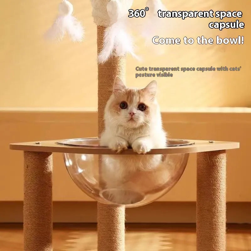 Wooden cat climbing frame with space capsule in luxury wood colour