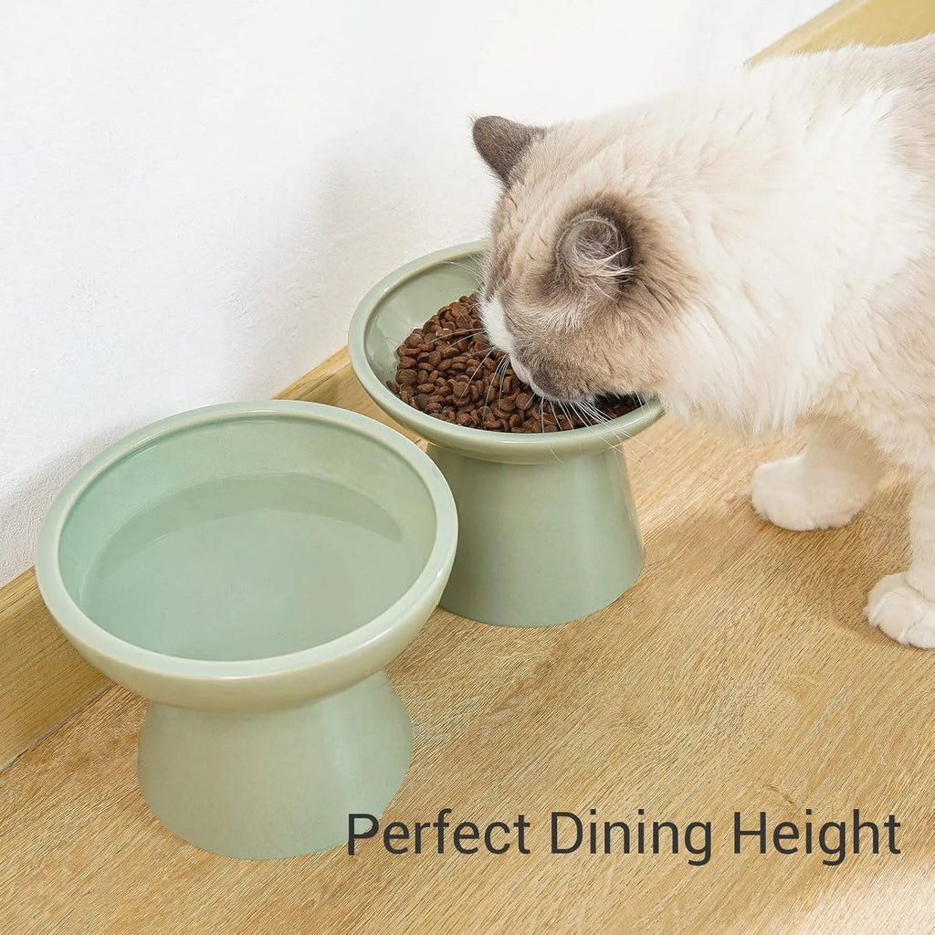 Elevated ceramic cat food and water bowl set with wide 16cm shallow dish design in various colours