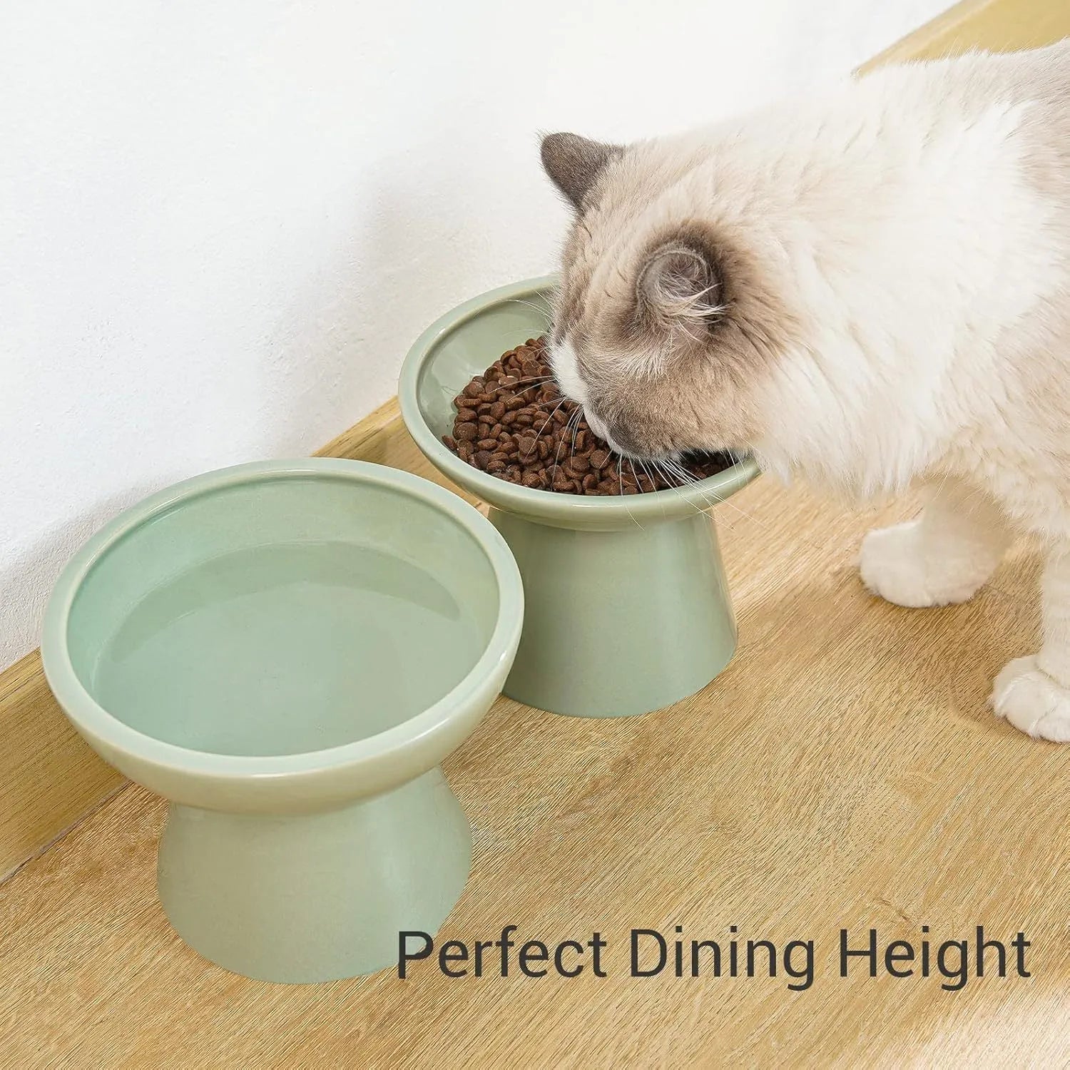 Elevated ceramic cat food and water bowl set with wide 16cm shallow dish design in various colours