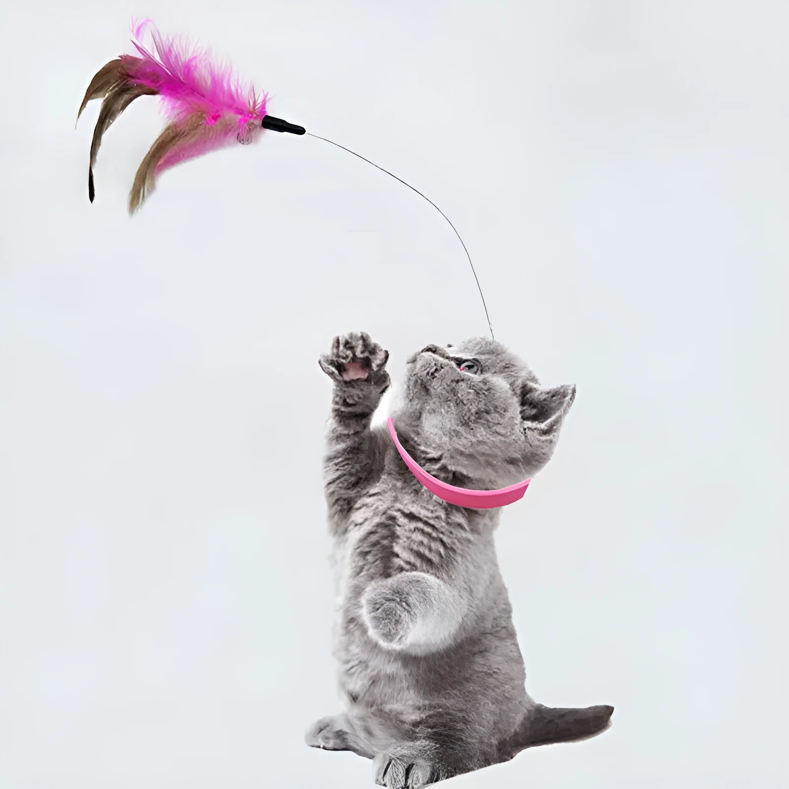 Blue adjustable cat collar toy with silicone teasing wand and feather attachment