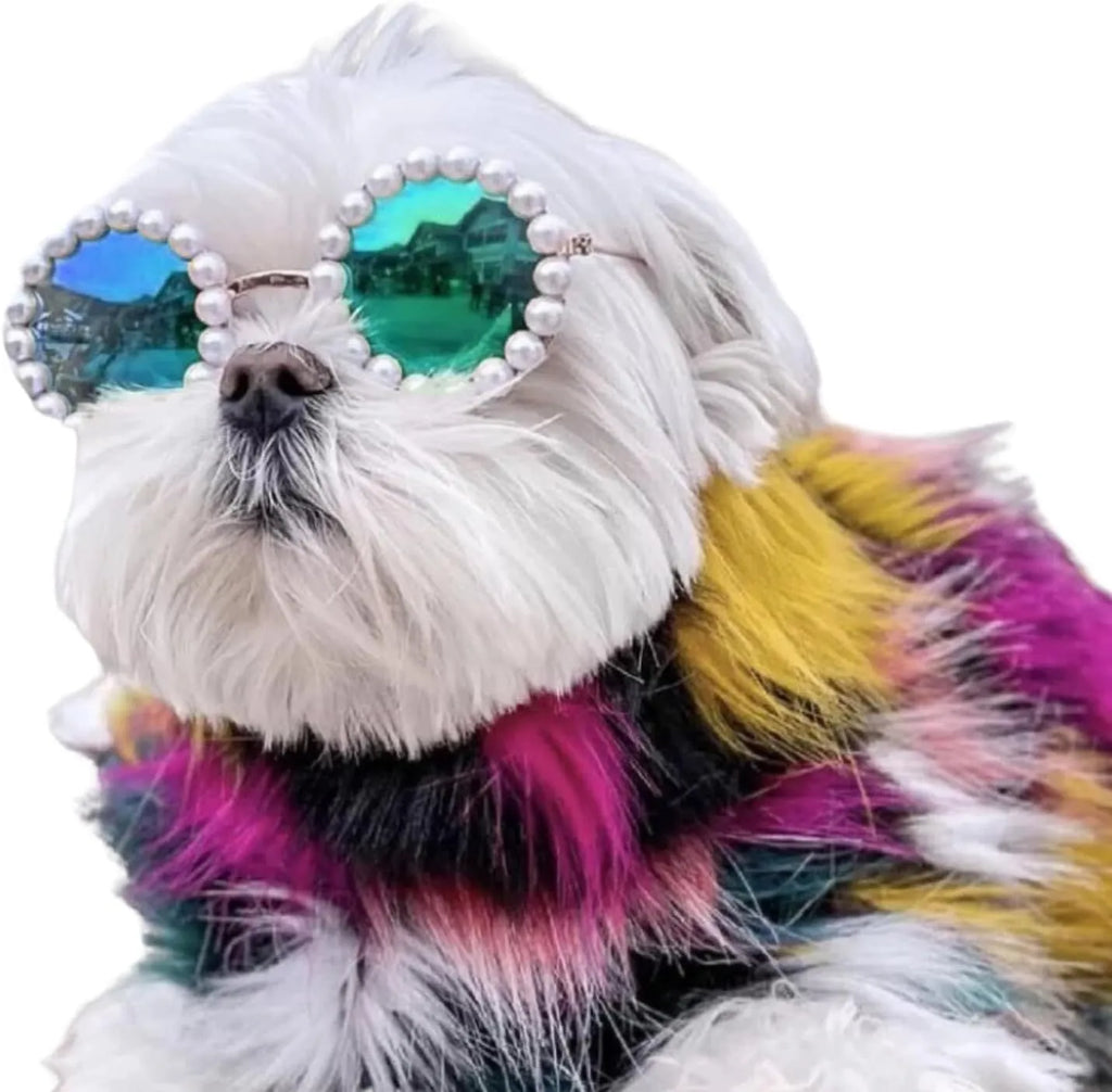 Pearl-rimmed round sunglasses for cats and dogs in black, blue, coffee, orange, and purple.