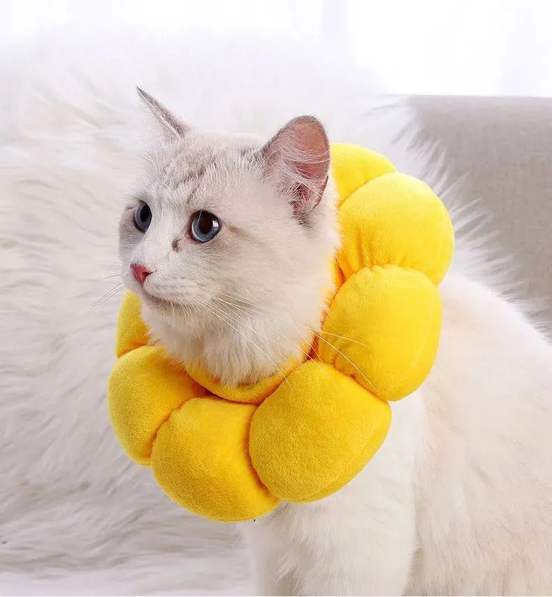 Soft cotton pet recovery collar with sunflower print, shown on a cat, featuring an adjustable band.