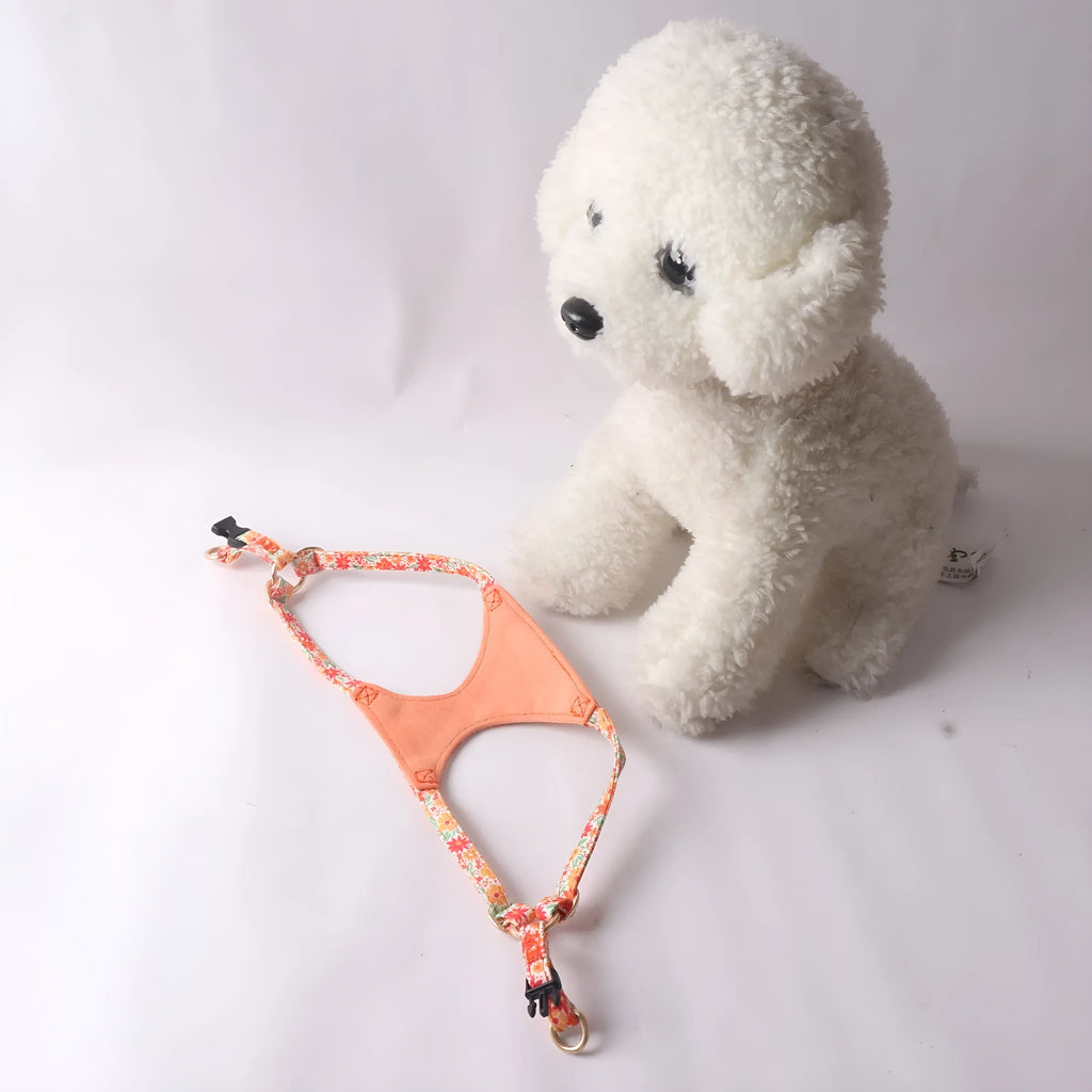 Floral pattern cloth dog harness and leash set shown in small size on a model.