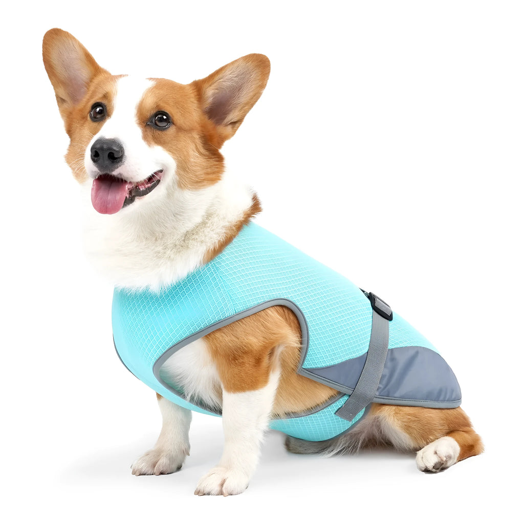 Light Grey polyester dog cooling vest on a medium-sized dog showing chest and back coverage.
