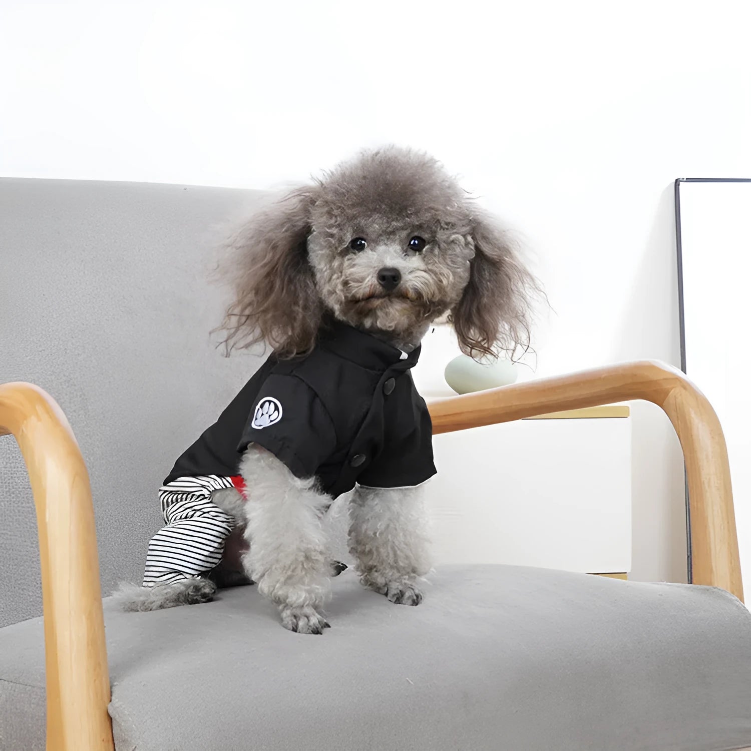 Cotton dog clothing for poodles shown in four-foot pants and skirt styles for spring, summer, and autumn wear.
