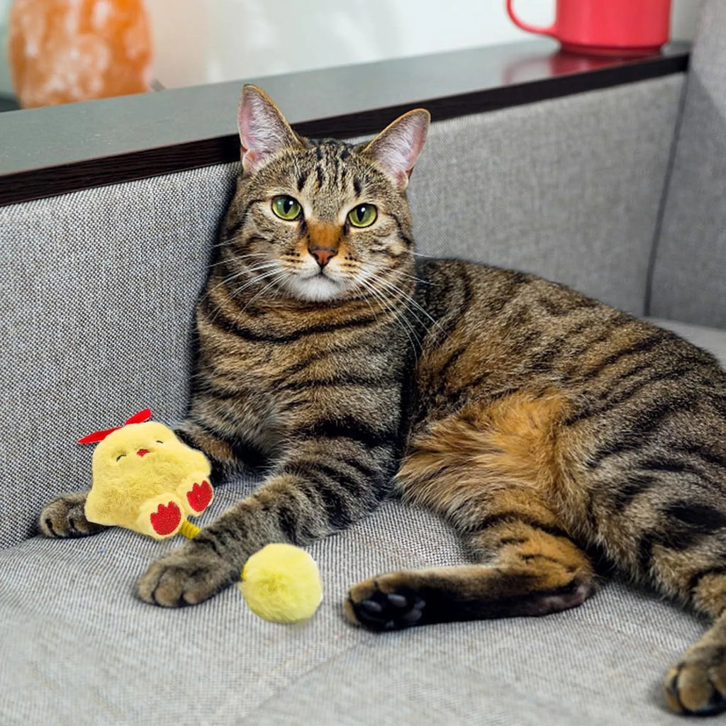 Cat interactive toy set with silvervine fruit, stretching spring, and plush fuzzy ball