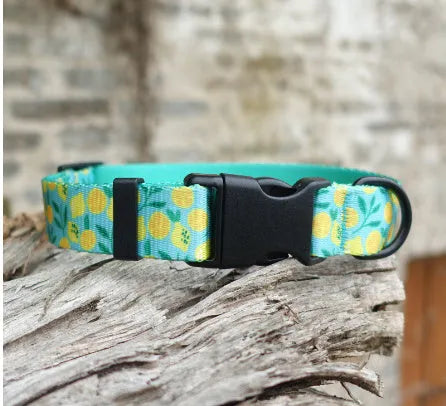 Flower patterned nylon pet collar in Hanada colour, showing adjustable fastening and floral design detail.