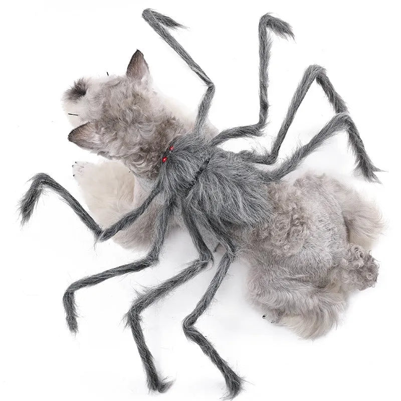 Halloween pet costume with big spider design on dog back, showing grey colour option with eight leg extensions