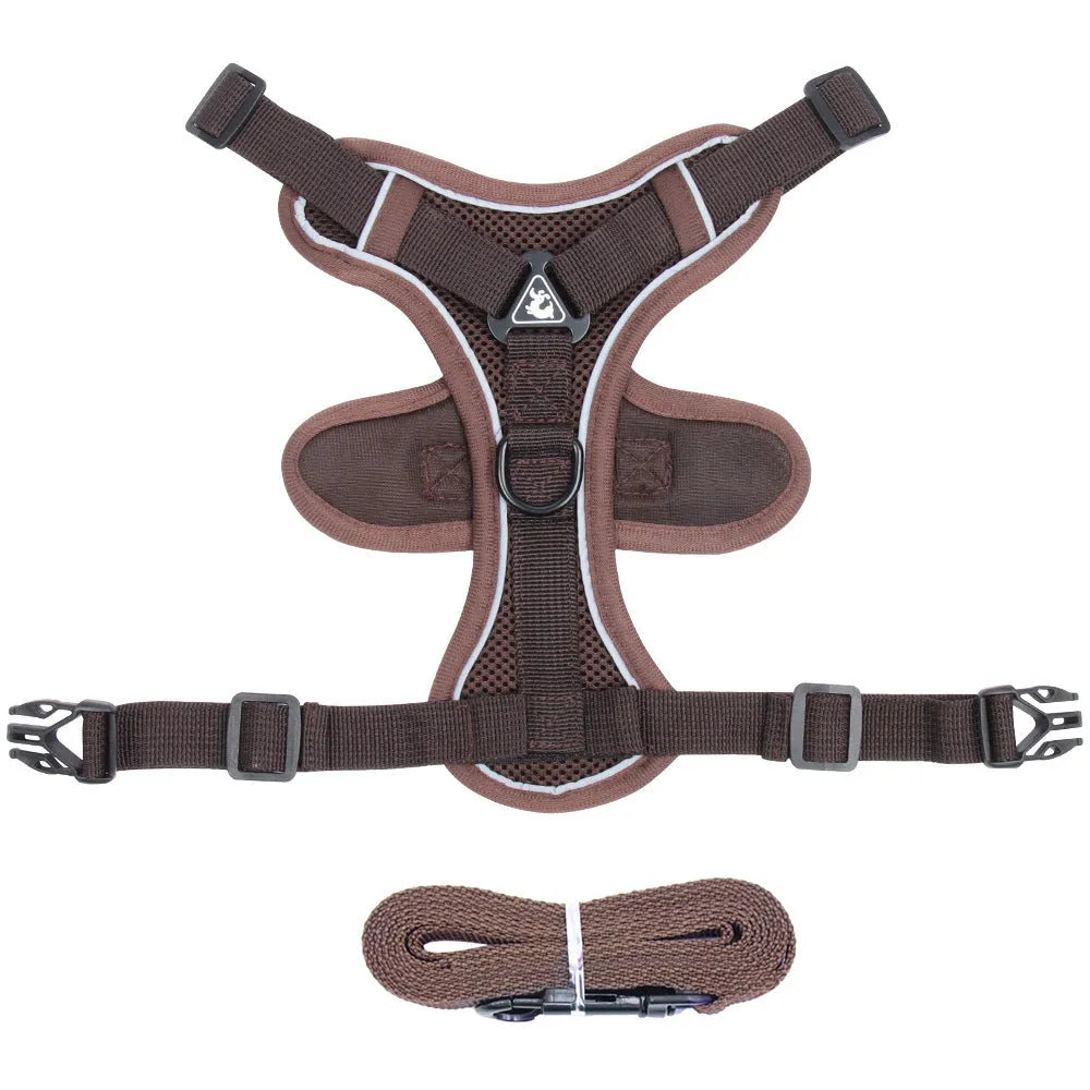 Adjustable mesh cat harness with leash showing reflective strips and secure snap fastenings
